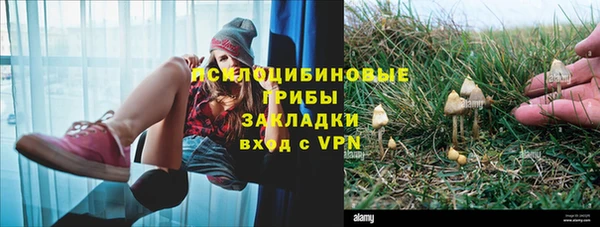 спиды Кукмор