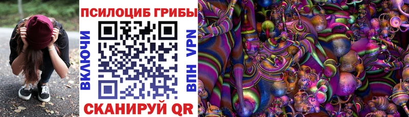 Псилоцибиновые грибы MAGIC MUSHROOMS  Купить где  Камешково 